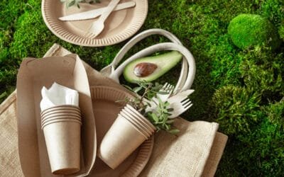 Packaging responsable : entre séduction et conviction